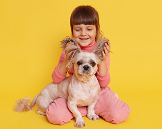 Pet Grooming Image 3