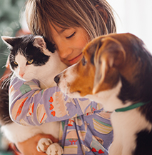 Pet Grooming Image 2