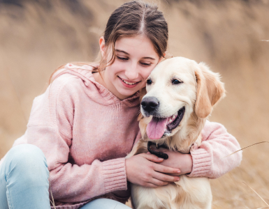 Dangerous toys for pets